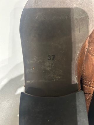 Zapato ante cordones mujer marrón