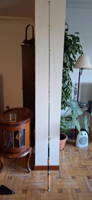 Caña de Pesca Carswell FAKIT