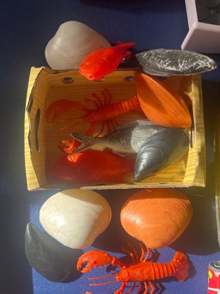 Caja registradora de juguete con dinero