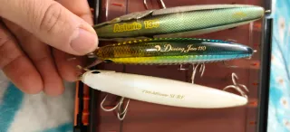 Amostras de pesca spinning