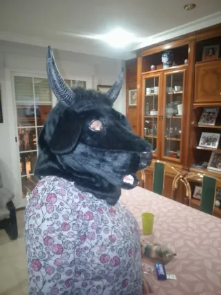 Disfraz de Carnaval Toro Negro