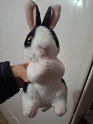 Peluche Conejo Blanco y Negro