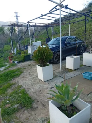 Fioriera Bianca in Cemento 50x40x40