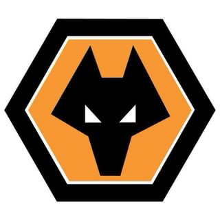 Camiseta Wolves 2010/11