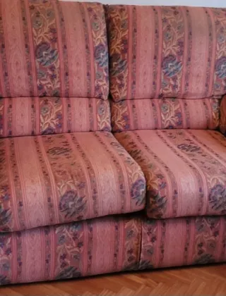 Sofá 2 plazas estampado