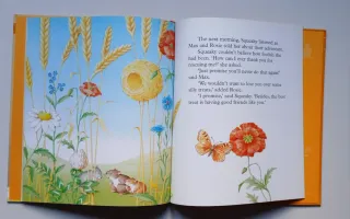 Little Mouse's Rescue