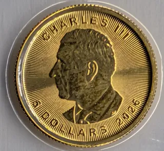 1/10 Oz Oro 2026 Maple Leaf