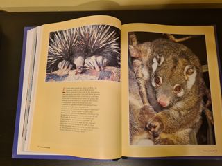 National Geographic Society Paraísos mundo Animal