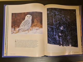 National Geographic Society Paraísos mundo Animal