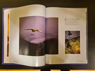 National Geographic Society Paraísos mundo Animal
