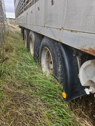 Remolque ganadero metálico