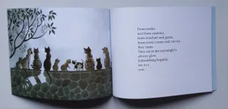 Slinky Malinki Catflaps