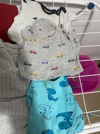 Lote Ropa Bebé 9-12 Meses