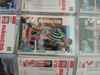 Cromo Panini LaLiga Joaquín 2023-24