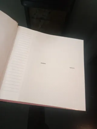 Álbum de Fotos Minnie y Flores