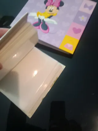 Álbum de Fotos Minnie y Flores