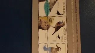 Hoja Bloque Sellos Países Bajos 1994 - lote 162