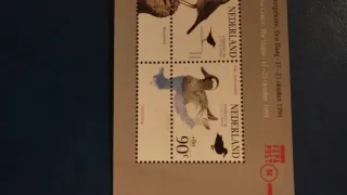 Hoja Bloque Sellos Países Bajos 1994 - lote 162