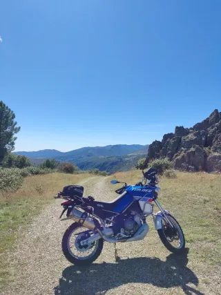 Aprilia Tuareg 660 Moto Trail