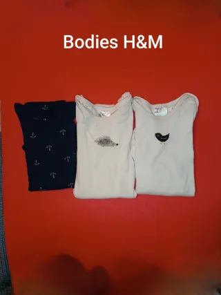 7 Bodies Manga Larga 12m