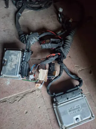 Centralita y Cableado Audi 1.9 AWX