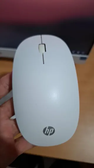 Ordenador HP Gris y Blanco