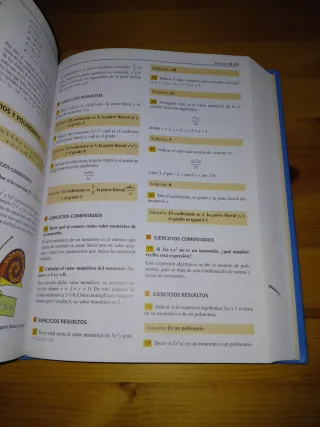 El mentor de matematicas/ The Mathematic's Ment...