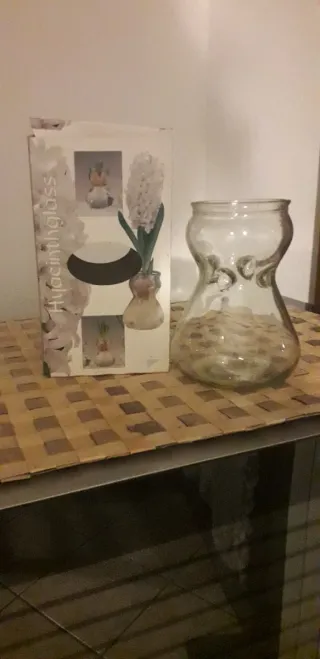 Vaso per Giacinti in Vetro Trasparente