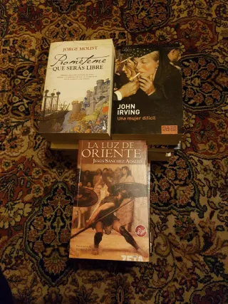 Lote 23 libros x 10€