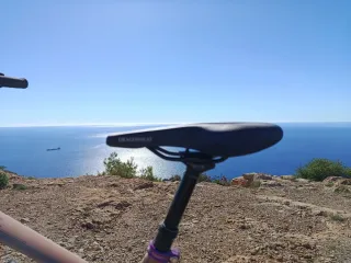 Sillín de Bicicleta Dragonseat Negro