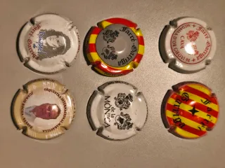 Lote 14 Placas de Cava Coleccionables