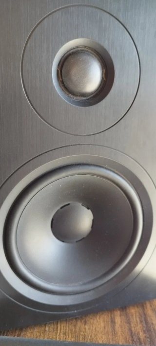 Wiim Pro & Dyn. Xeo 10