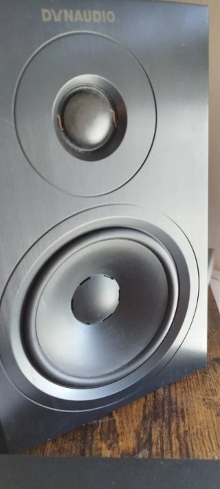 Wiim Pro & Dyn. Xeo 10