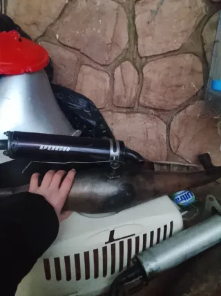 Escape Voca 50/70cc
