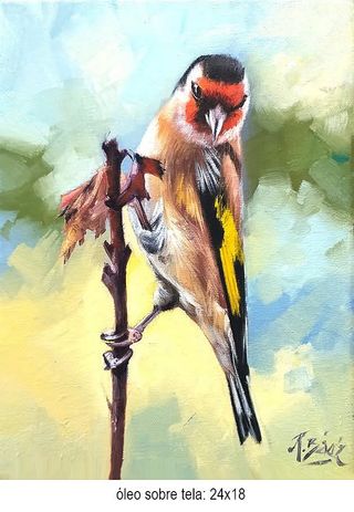 Quadro olio uccello su ramo