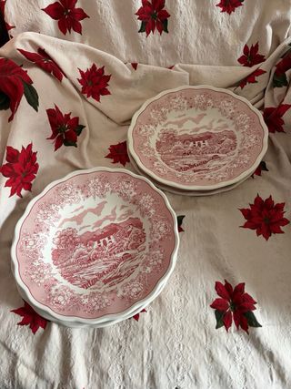 2 Juegos Platos •SWISS LAMDSCAPE • Dishwasher pro