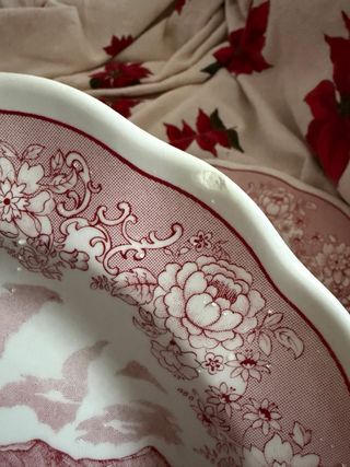 2 Juegos Platos •SWISS LAMDSCAPE • Dishwasher pro