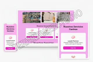 Web profesional económica y rápida