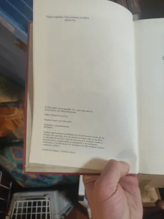 Cinco semanas en globo