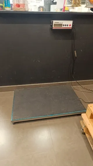 Báscula plana 250kg