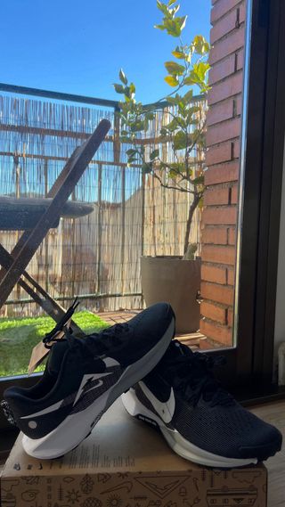 Zapatilla Nike Pegasus Trail 5