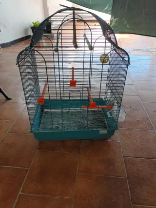 Jaula para pájaros verde
