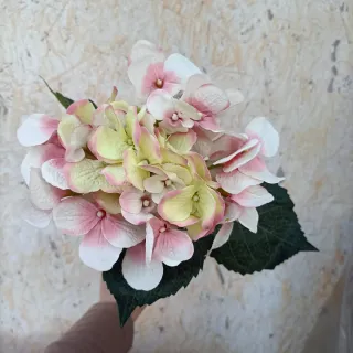 Set 6 Ortensie Artificiali Rosa