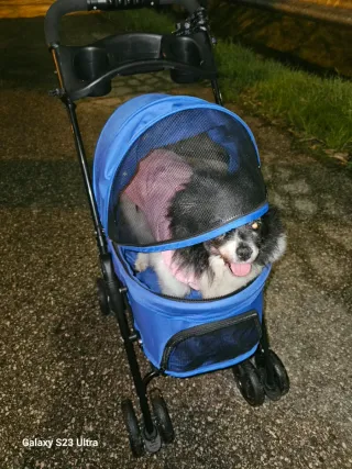 Passeggino per animali blu e nero, per inutilizzo