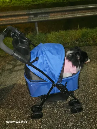 Passeggino per animali blu e nero, per inutilizzo