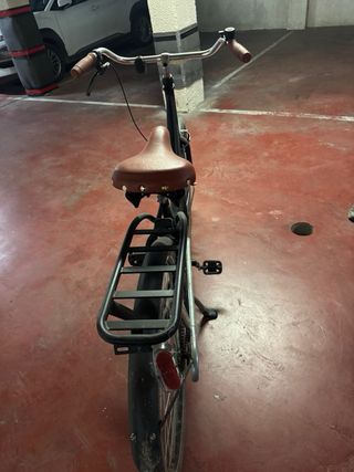 Bicicleta Holandesa Negra Altec