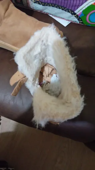 Botas de ante con forro de pelo