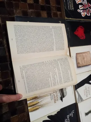 Clásicos de la literatura española 2 euros/ud