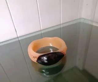 Flamenca: Peinetas Pendientes Pulsera Peinecillos