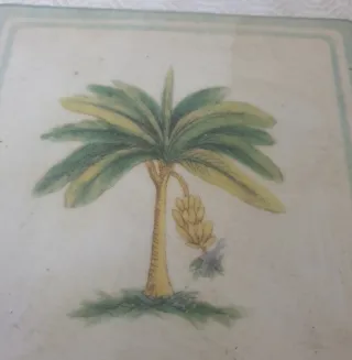 Piastrelle decorative con palma